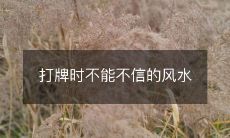 打牌时不能不信的风水