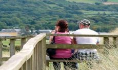 猪遇龙食无穷是什么意思 属相相合吗