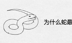 为什么蛇最配的是牛