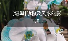 [堪舆]动物及风水的影响