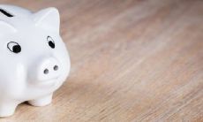 属猪正缘出现在哪年 什么生肖相合