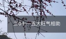二0十一五大旺气相助