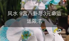 风水 9宫八卦与3元命运运限法