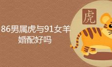 86男属虎与91女羊婚配好吗