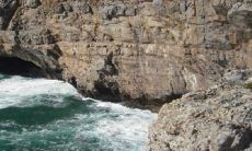 男蛇女猪真的不能在一起吗 是属相相冲吗