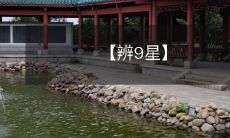 【辨9星】