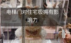 电梯门对住宅极拥有影响力