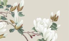 2022年7月27日开张好吗 今日营业怎么样