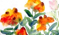 2022年7月31日适合开工吗 这天日子好不好