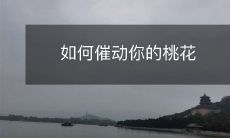 如何催动你的桃花