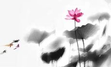 2023年2月3日宜装修吗 可以装修房屋吗