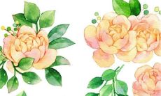 2023年1月30日装修房子可以吗 是装修吉日吗