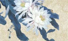 2023年1月25日可以装修新房吗 是装修黄道吉日吗