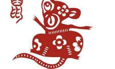 属鼠最命苦的月份 属鼠哪个月份是命苦