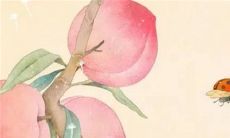 2023年1月27日适不适合装修房子 可以装修房屋吗