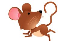 属鼠人2022年7月份运势及运程完整版解析