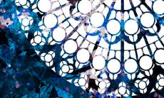 2023年是什么 属兔人2023年有什么威胁