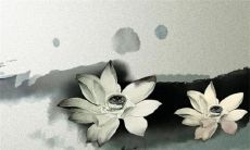 今年二月十六开业好吗 2023年二月十六是开业好时机吗