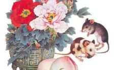 2020年生孩子好不好？几月生最好？