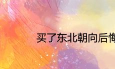 买了东北朝向后悔了为什么