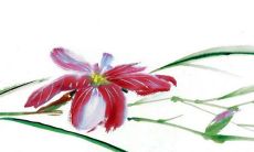 2023年阴历二月开业大吉日的好日子 哪几天适合开业