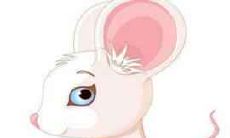 2021年属鼠人戴什么可以防小人