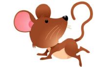 属鼠的人2022年全年各方面运势及运程如何 应该注意什么