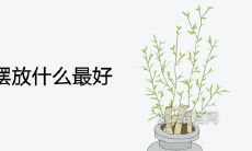 西北方位摆放什么最好且风水最佳最旺财