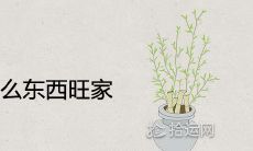 阳台上放什么东西旺家