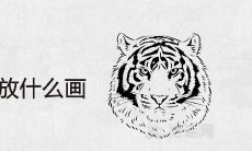 86年虎客厅适合摆放什么画旺财