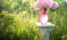 84年出生的鼠女贵人是什么生肖