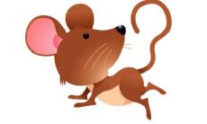 今年属鼠佩戴什么饰品最好 佩戴什么比较好