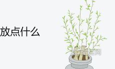 卧室太空荡放点什么