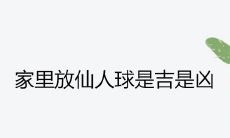 家里放仙人球是吉是凶 放在哪里招财