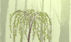 盘点巨蟹座最爱看的综艺节目