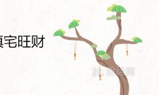 门口栽什么树镇宅旺财 风水最好的树有哪些