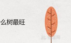 屋后种什么树最旺 最好的镇宅招财树推荐