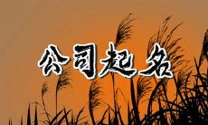 法律服务公司名字推荐 法律咨询公司取名字