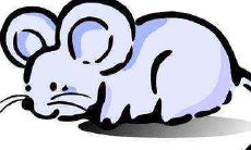 1996年属鼠2021年财运详解 本年财运丰厚