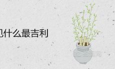 开门见什么最吉利 最旺风水入门设计