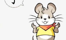 84年出生的生肖鼠一生婚姻状况 结婚注意事项