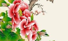 2022年8月13日五行穿衣指南 今日衣服颜色搭配查询