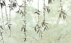 今日五行穿衣:2022年7月30日穿什么颜色旺运势