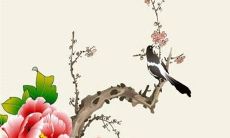 每日五行穿衣分享:2022年8月12日穿衣最佳幸运色