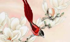 2022年8月5日五行穿衣指南 今日穿衣早知道