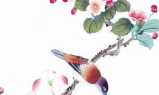 每日五行穿衣分享:2022年8月2日穿衣最佳幸运色