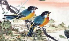 2022年8月7日立秋五行属性查询 每日五行穿衣搭配