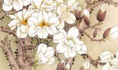 五行穿衣旺运:2022年8月14日穿衣幸运色搭配分享