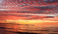 丢东西是去灾消灾吗 预示着什么