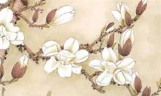 穿衣色彩攻略:2022年8月16日五行穿衣属性查询